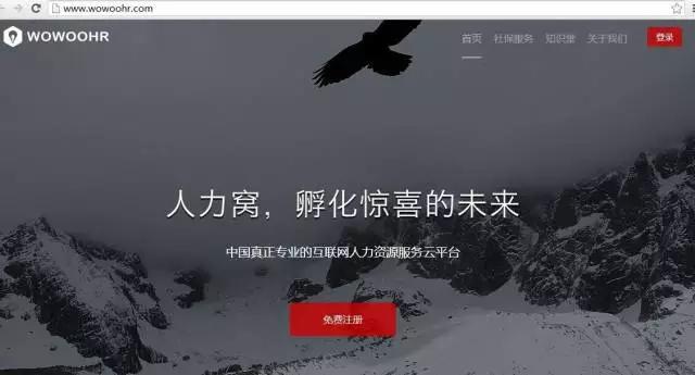 hr招聘完整视频,hr招聘数据