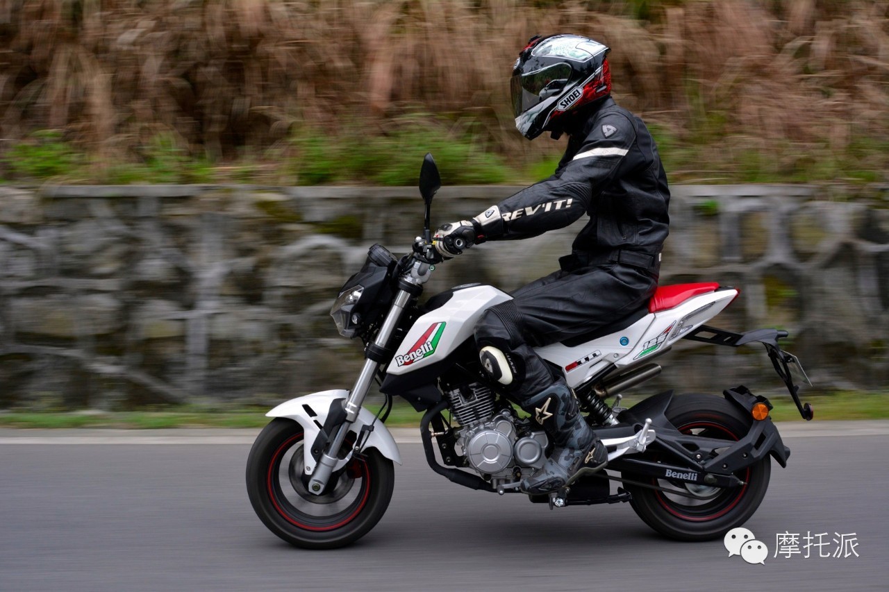 贝纳利小暴龙暴力吗,贝纳利小暴龙最详细的介绍