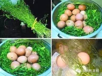 三月三吃鸡蛋是哪的习俗,湖南三月三吃鸡蛋是什么习俗