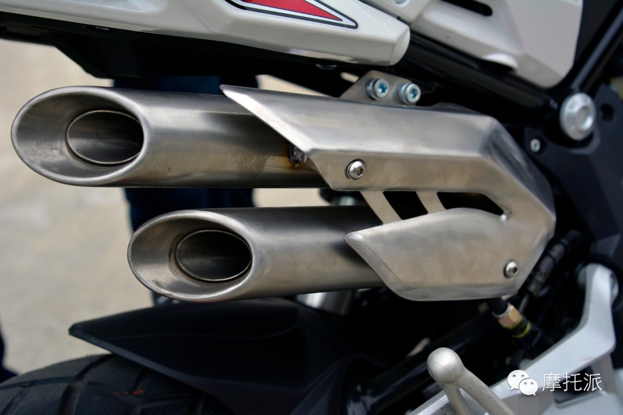 贝纳利小暴龙暴力吗,贝纳利小暴龙最详细的介绍