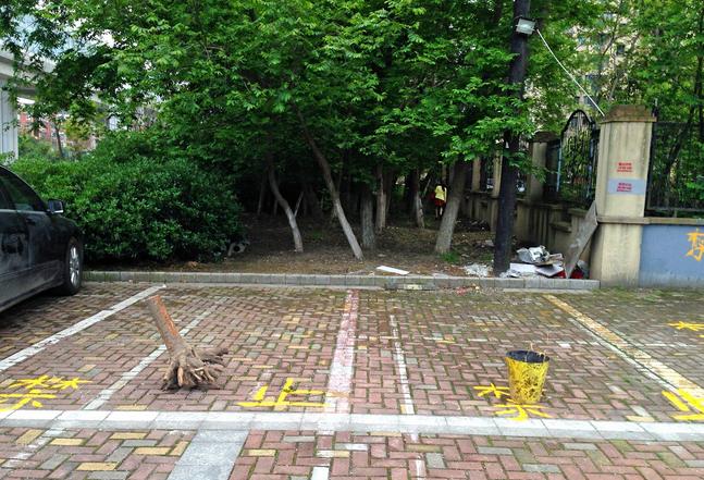 舞场，禁止停车，派舍提香停车位竟然如此！还有世茂湾、荣安花园...