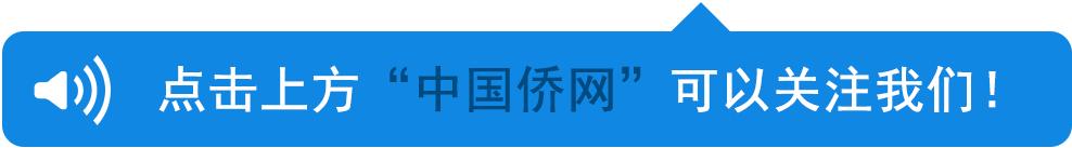 2020百家姓排名前十位的姓氏,百家姓的姓氏排名前十