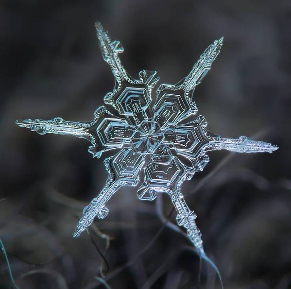 摄影最美人物照片,摄影人的第一张照片