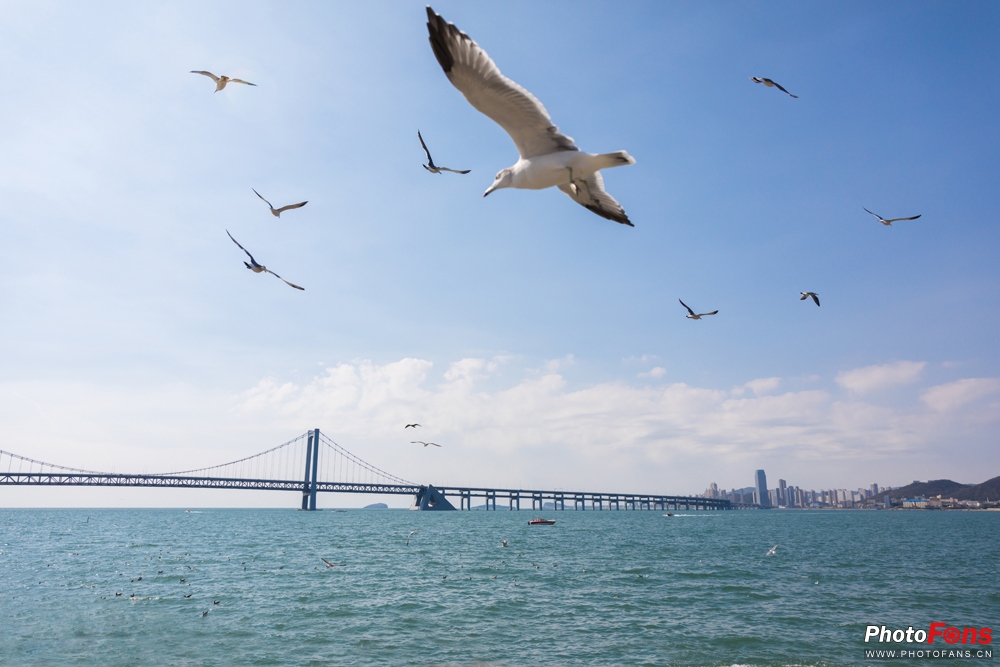 带上马儿去旅游,带着马去旅游的车
