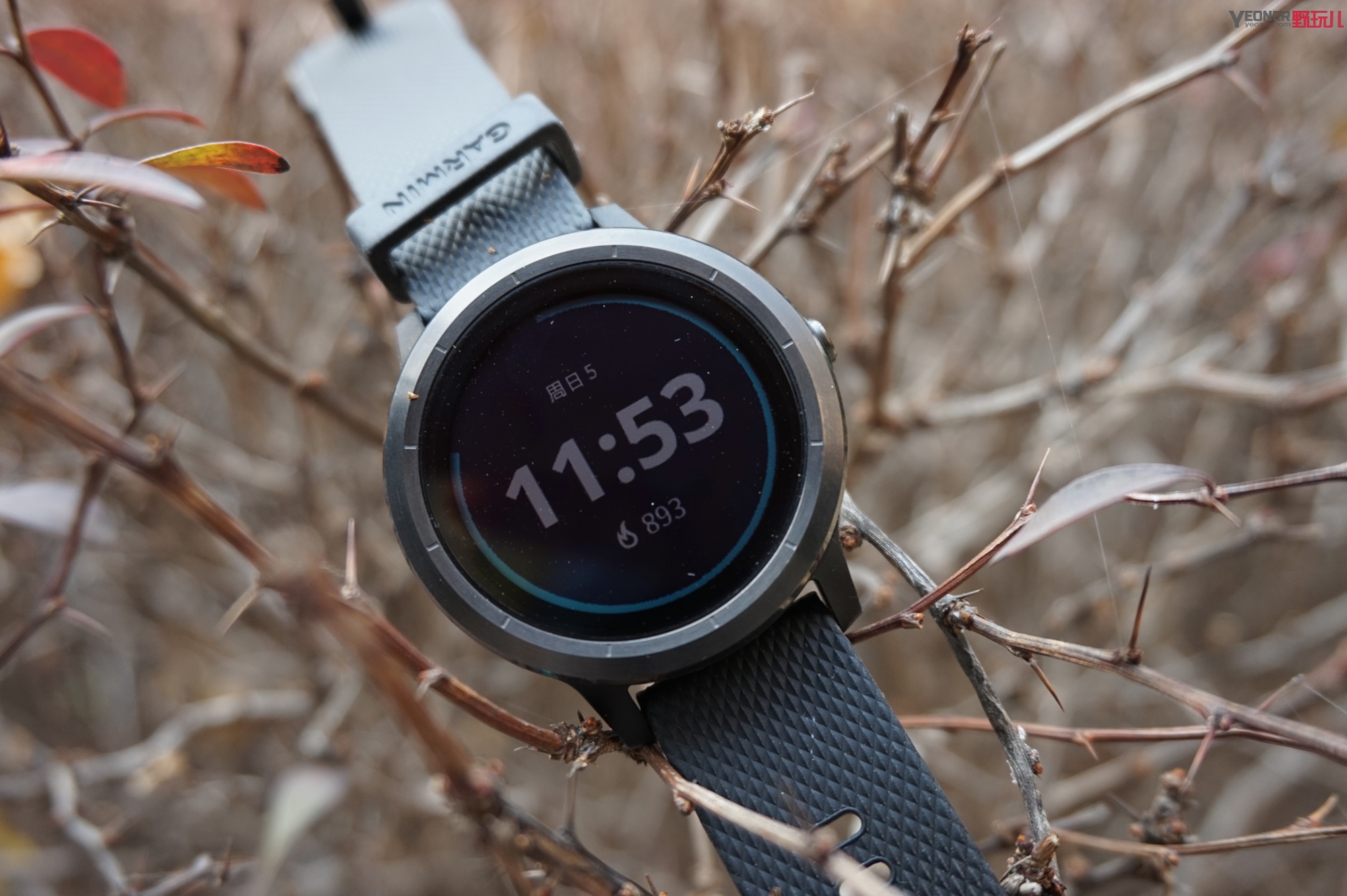 原来跑步手表也可以这么智能！GarminVivoactive3国行中文版上手评测