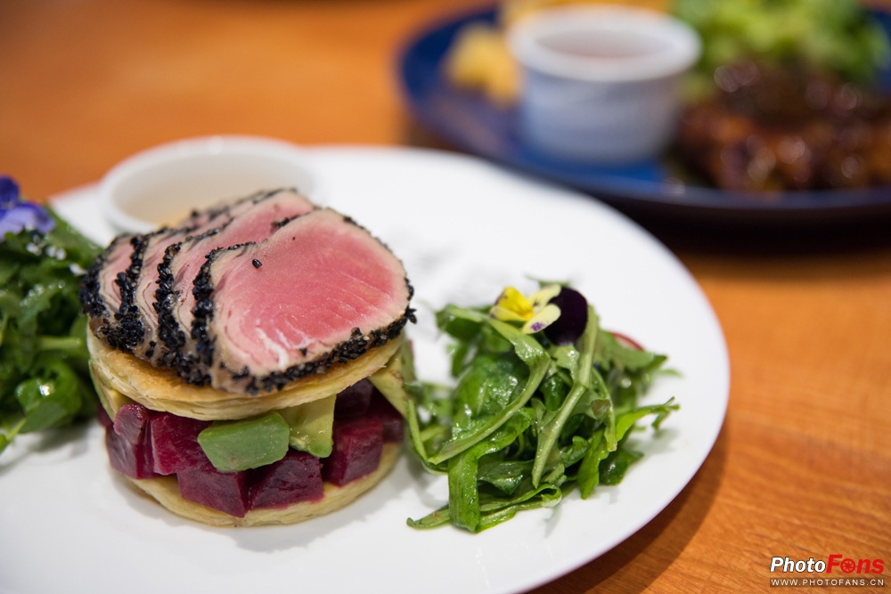 带上马儿去旅游,带着马去旅游的车