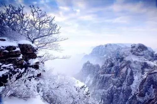 美有很多种自然美才是真正的美,美有很多种分别是什么美