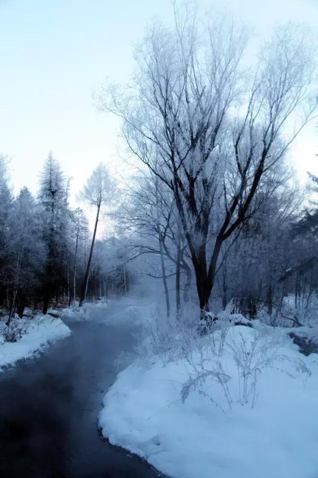 美有很多种自然美才是真正的美,美有很多种分别是什么美