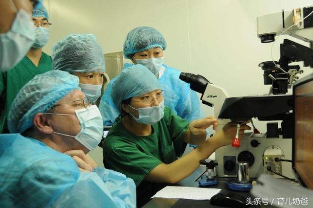 试管婴儿怎么回事,试管婴儿到底怎么回事