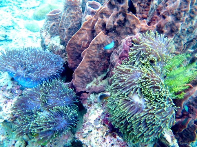 阳光沙滩与海边,阳光与沙滩结局