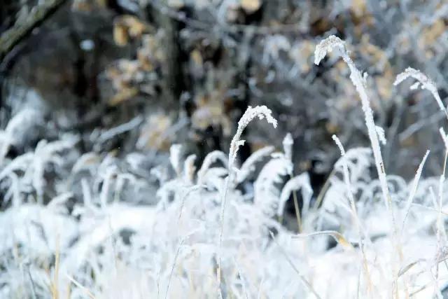 美有很多种自然美才是真正的美,美有很多种分别是什么美
