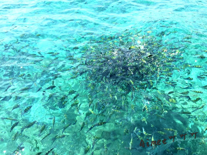 阳光沙滩与海边,阳光与沙滩结局