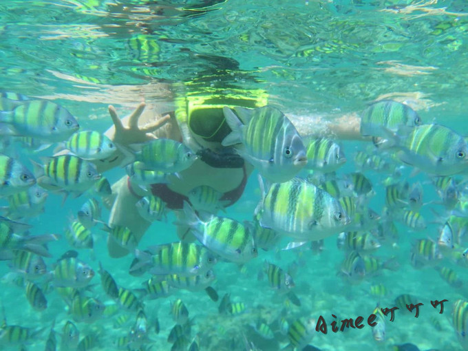 阳光沙滩与海边,阳光与沙滩结局