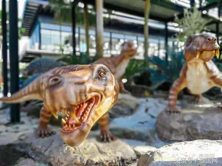 芭提雅东芭乐园和大象村的区别,芭提雅东芭乐园免费路线