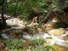 栾川养子沟15天天气预报,栾川县养子沟景区