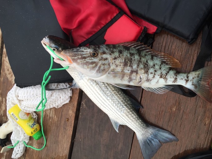 阳光沙滩与海边,阳光与沙滩结局