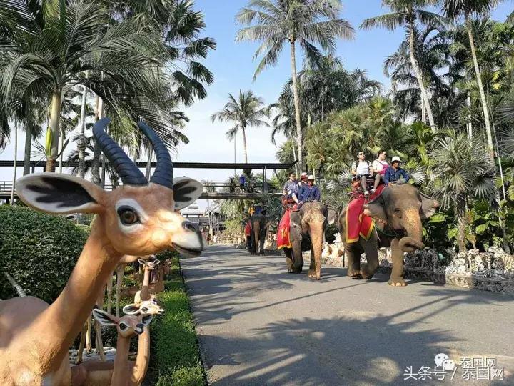 芭提雅东芭乐园和大象村的区别,芭提雅东芭乐园免费路线