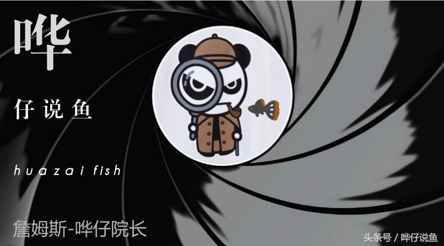 有多少人被宠物鱼送进过医院？魟鱼很好看，触摸需谨慎