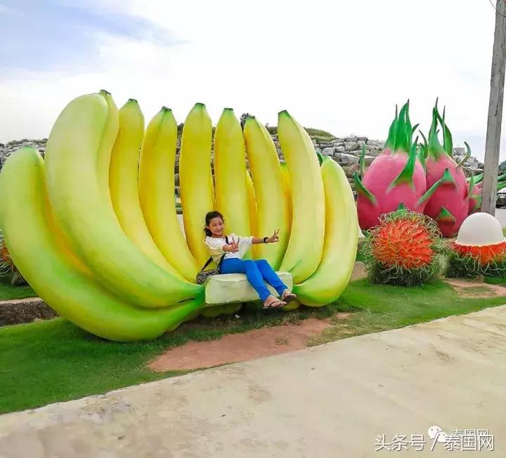 芭提雅东芭乐园和大象村的区别,芭提雅东芭乐园免费路线