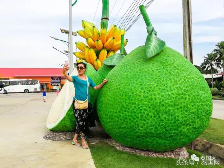 芭提雅东芭乐园和大象村的区别,芭提雅东芭乐园免费路线