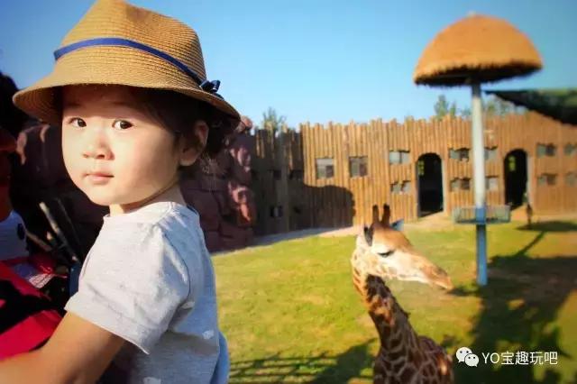 济南野生动物世界一日游自驾,济南野生动物世界一日游攻略