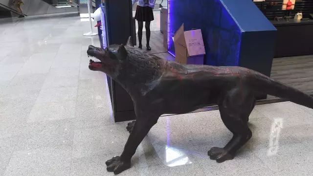 芳草地购物中心特色,芳草地购物中心介绍