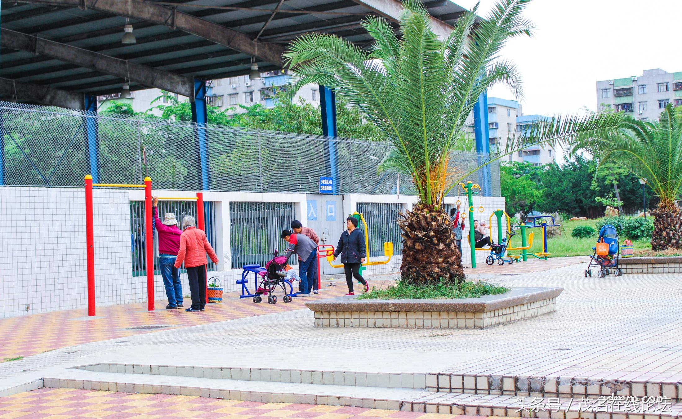 江东花园最好小区,发现我们身边的美