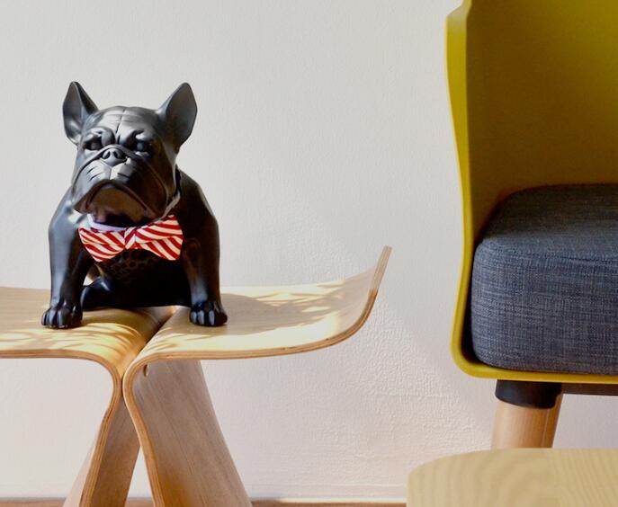 最有灵性的狗狗是什么样的,最有灵性狗狗