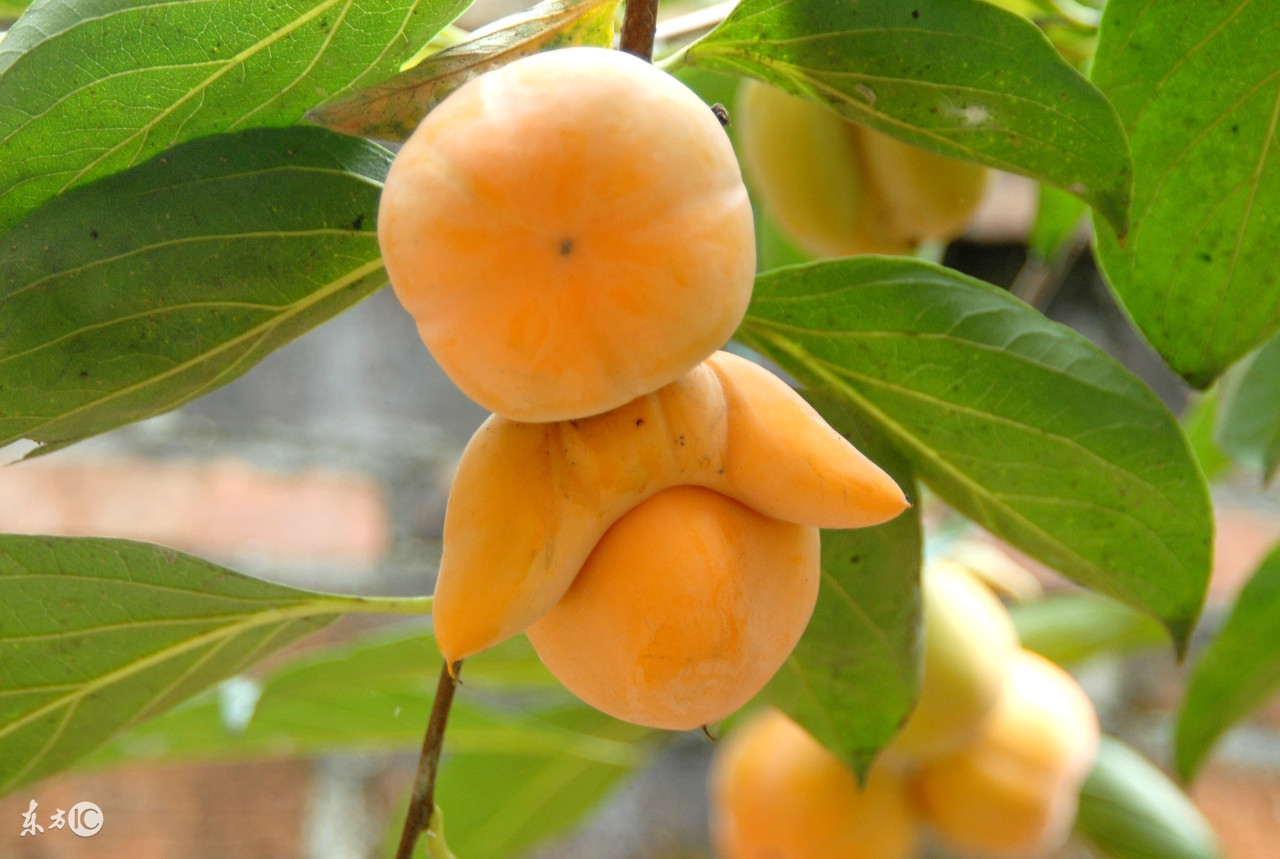 空腹不能吃饭怎么办,空腹不能吃饭有什么坏处