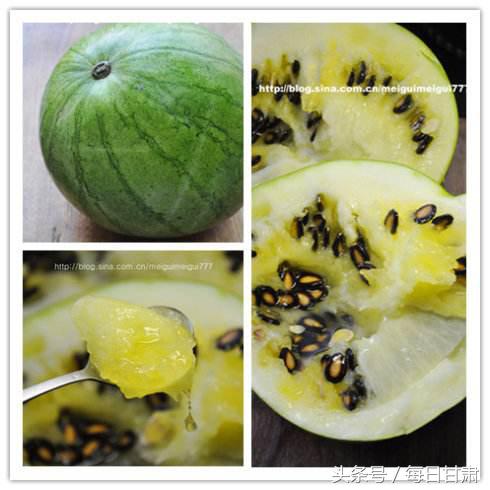 兰州的籽瓜上市了吗,兰州的籽瓜学名叫啥