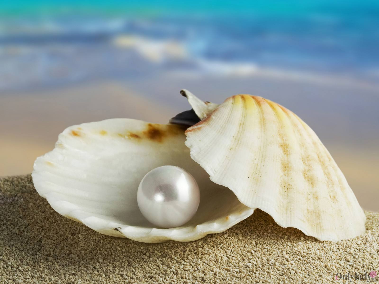 三亚都有什么特产可以带,去三亚有什么特产值得买