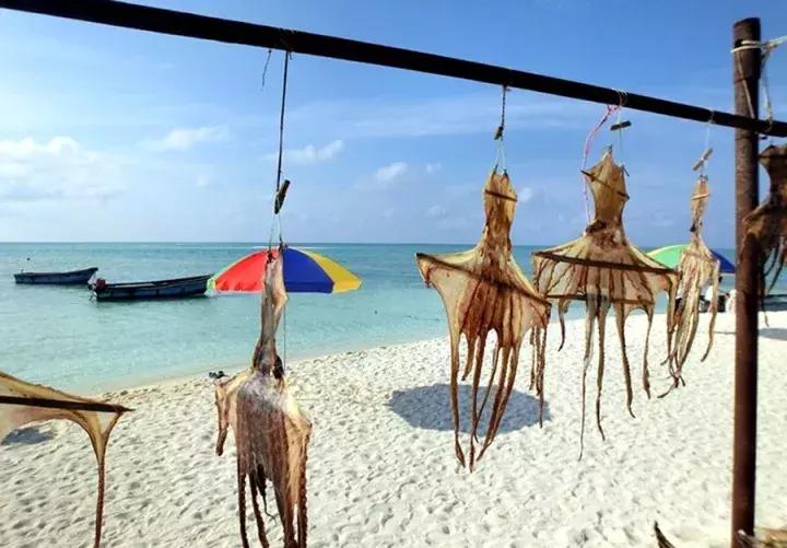 只对中国人开放的岛,只对中国人开放的沙漠