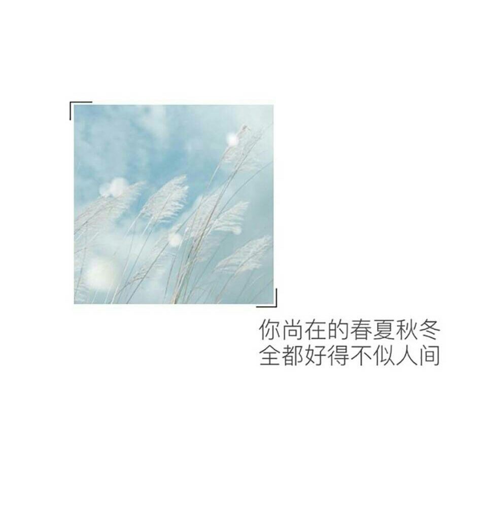 我喜欢你又能怎么样日文,我喜欢你又如何不喜欢你又如何