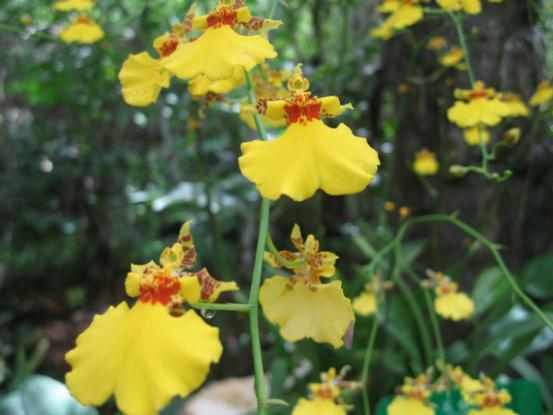 三亚吃喝玩乐亲身攻略——两匹北方的大姑娘吃喝玩乐在三亚