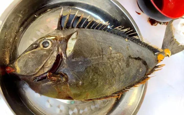 只对中国人开放的岛,只对中国人开放的沙漠