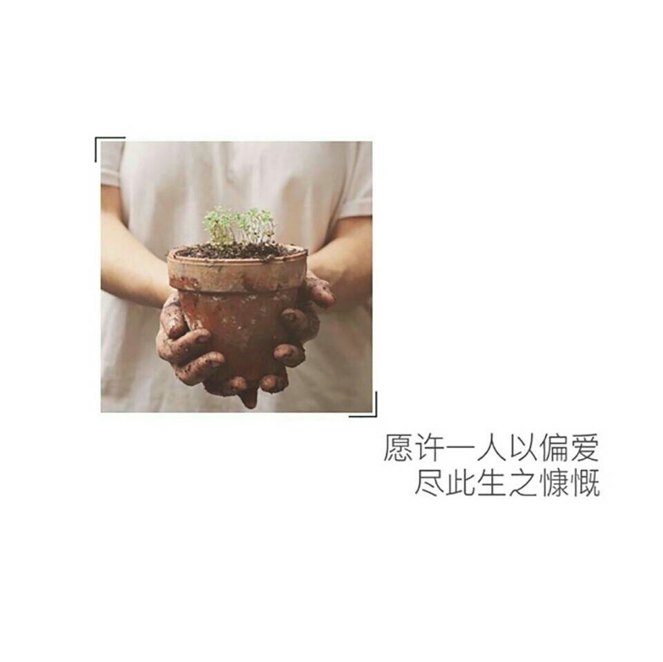 我喜欢你又能怎么样日文,我喜欢你又如何不喜欢你又如何