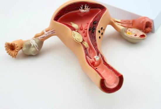 子宫前后位的全方位解析,子宫前位和后位哪个比较好