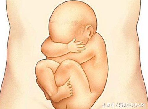 孕期五个月胎儿应该有多大,孕妇怀孕五个月肚子应该多大