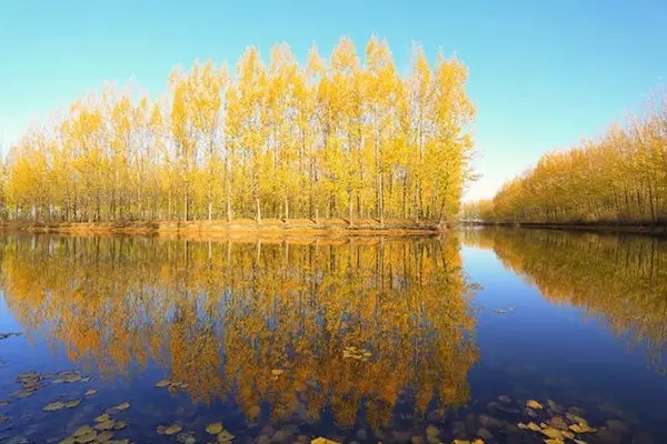 滕州风景名胜,山东滕州市旅游胜地