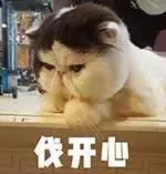 冬天好用的面霜和身体乳,最适合冬季的面霜