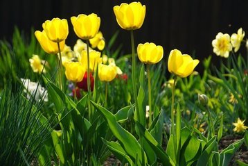 四柱八字之偏印,四柱八字命理