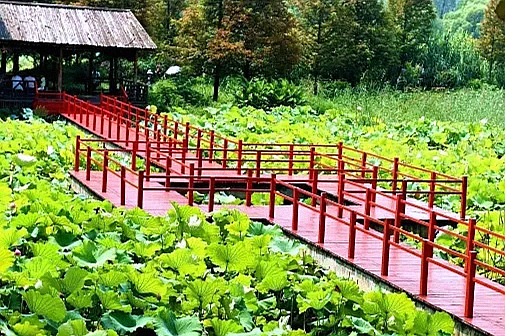 滕州风景名胜,山东滕州市旅游胜地