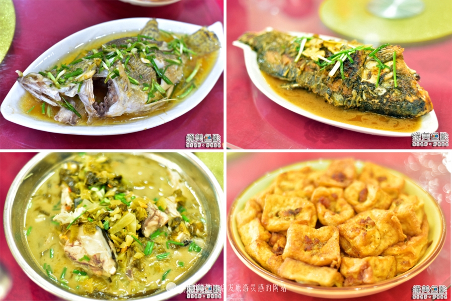 韶关新丰山间小溪自然风景,新丰最美景点