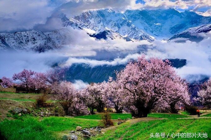 去趟西北旅行需要多少钱,藏西旅游费用