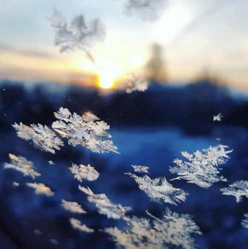 关于冬天的三句诗,关于冬天的一件事