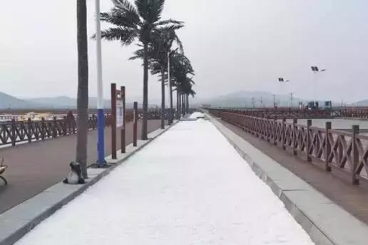 大连星海广场改造现在能玩吗,大连星海广场改造后的效果图