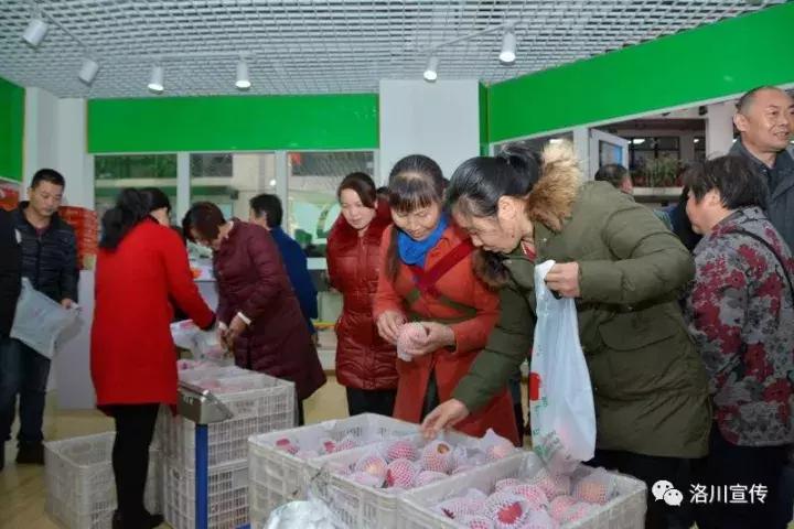 洛川苹果惊艳蓉城品牌知名度再升级