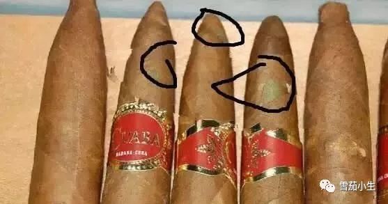 常见雪茄烟,常见古巴雪茄