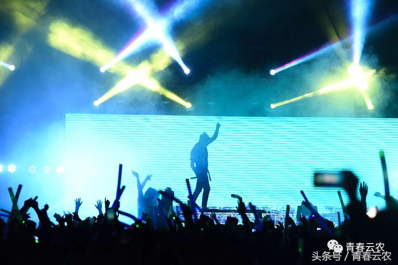 社团嘉年华会场,社团嘉年华图片大全