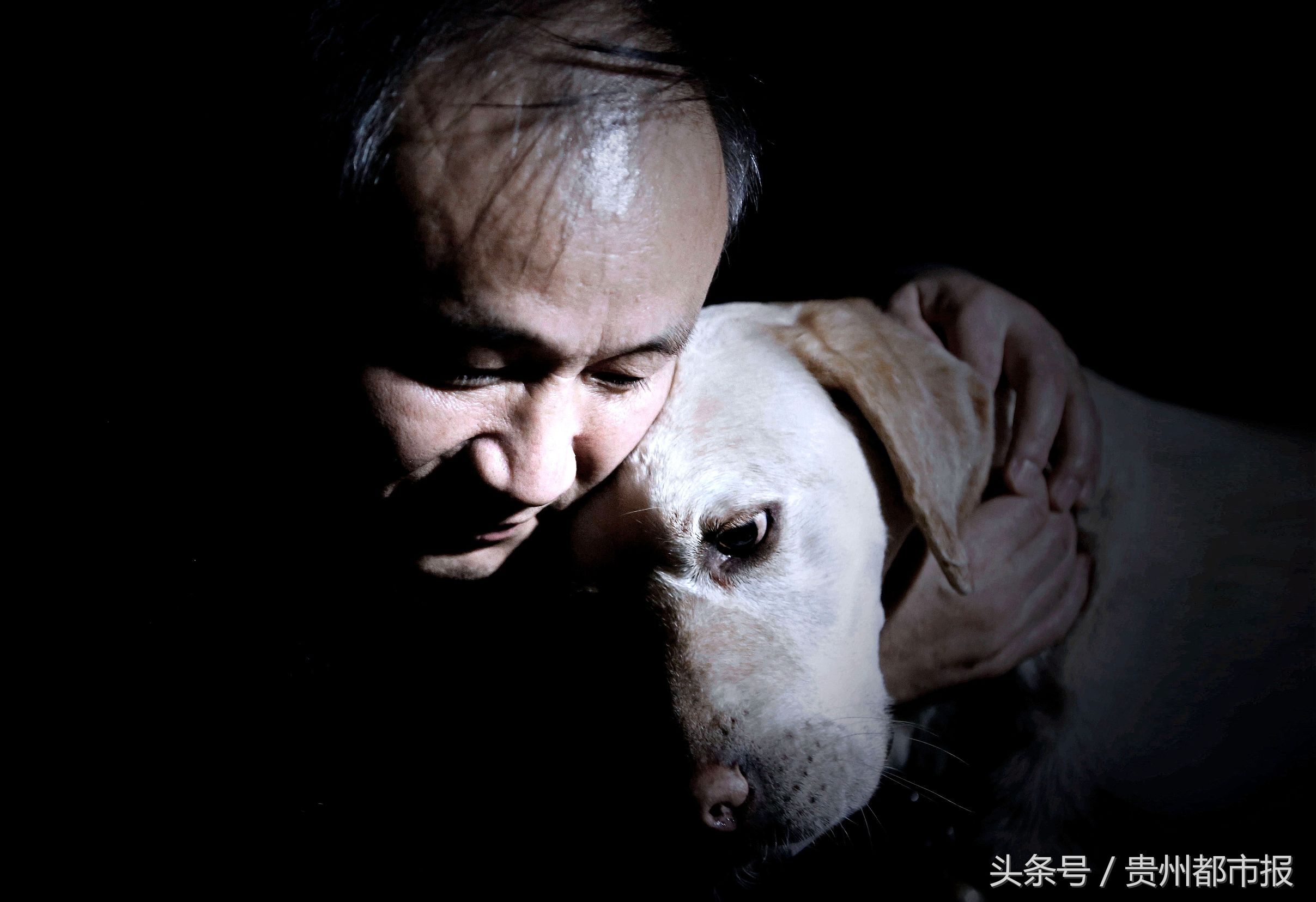 全球第一只导盲犬,史努比是第一只上太空的狗狗